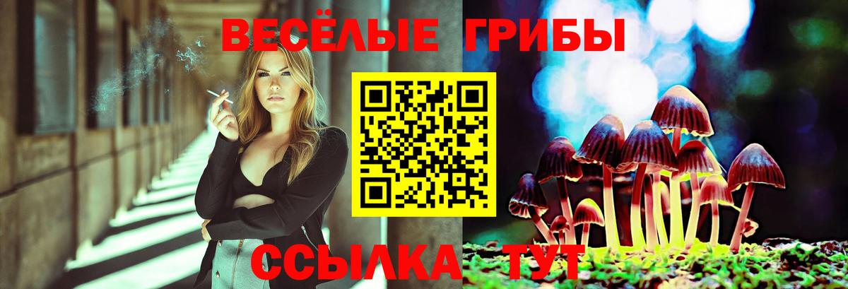 Славянск-на-Кубани  Псилоцибиновые грибы мицелий  Вход с VPN 